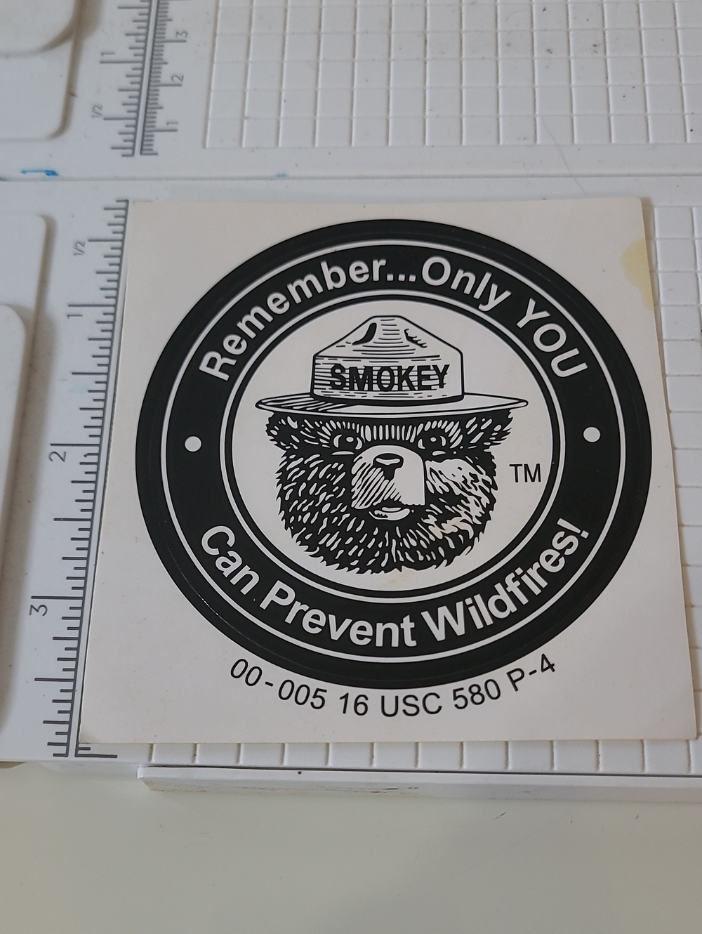 Smokey The Bear Prevent Wildfires Black & White Circle Wall Or Car Sticker
